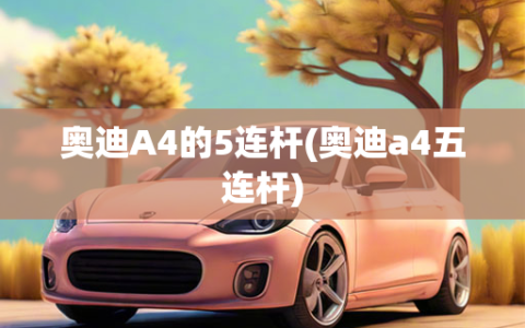 奥迪A4的5连杆(奥迪a4五连杆)