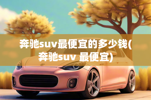 奔驰suv最便宜的多少钱(奔驰suv 最便宜)