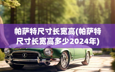 帕萨特尺寸长宽高(帕萨特尺寸长宽高多少2024年)