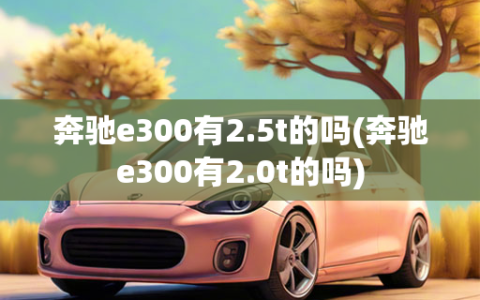 奔驰e300有2.5t的吗(奔驰e300有2.0t的吗)