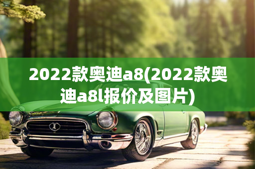 2022款奥迪a8(2022款奥迪a8l报价及图片)