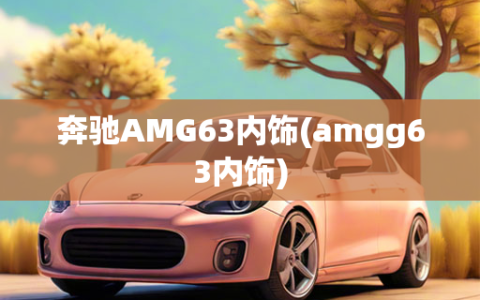 奔驰AMG63内饰(amgg63内饰)