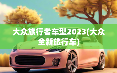 大众旅行者车型2023(大众全新旅行车)