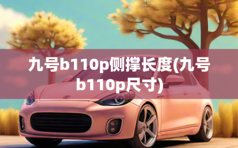 九号b110p侧撑长度(九号b110p尺寸)