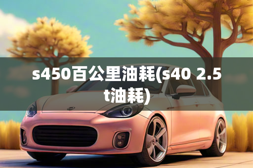 s450百公里油耗(s40 2.5t油耗)