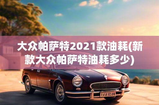 大众帕萨特2021款油耗(新款大众帕萨特油耗多少)