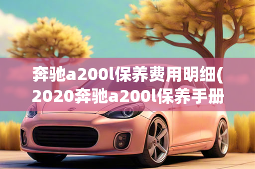 奔驰a200l保养费用明细(2020奔驰a200l保养手册)