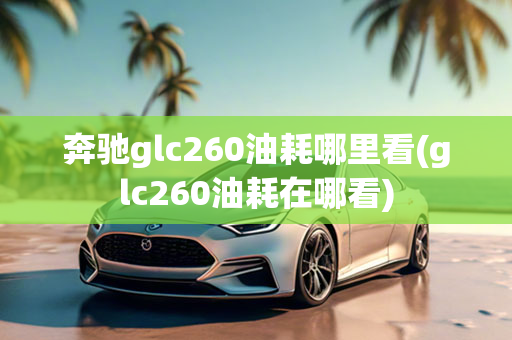 奔驰glc260油耗哪里看(glc260油耗在哪看)