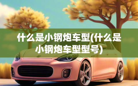 什么是小钢炮车型(什么是小钢炮车型型号)