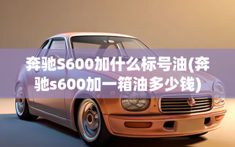 奔驰S600加什么标号油(奔驰s600加一箱油多少钱)