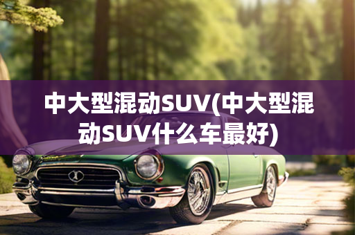 中大型混动SUV(中大型混动SUV什么车最好)