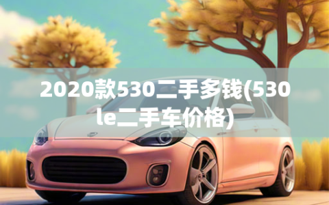 2020款530二手多钱(530le二手车价格)