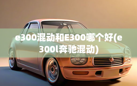 e300混动和E300哪个好(e300l奔驰混动)