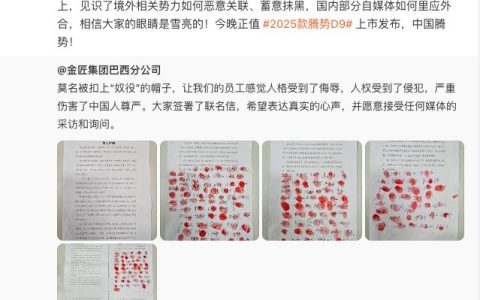 比亚迪李云飞回应巴西工地奴役中国劳工：欲加之罪 何患无辞