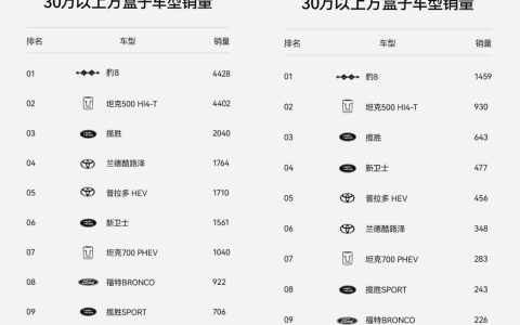 豹8首次智驾OTA正式开启国货旗舰成国民首选！