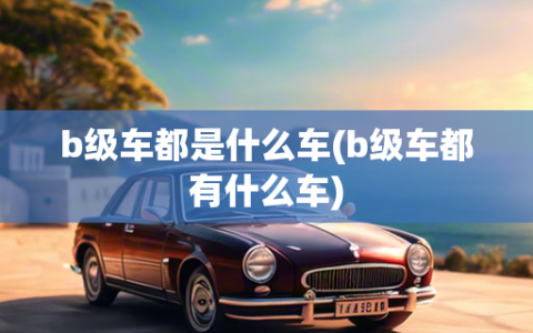 b级车都是什么车(b级车都有什么车)