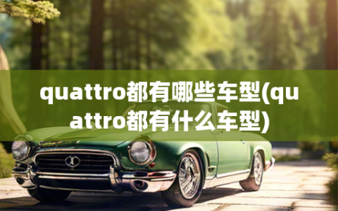 quattro都有哪些车型(quattro都有什么车型)