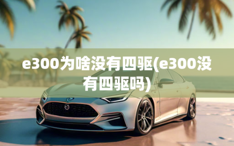 e300为啥没有四驱(e300没有四驱吗)