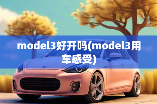 model3好开吗(model3用车感受)