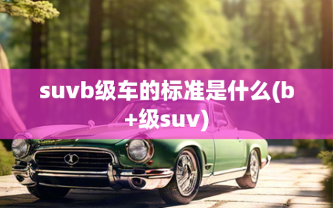 suvb级车的标准是什么(b+级suv)