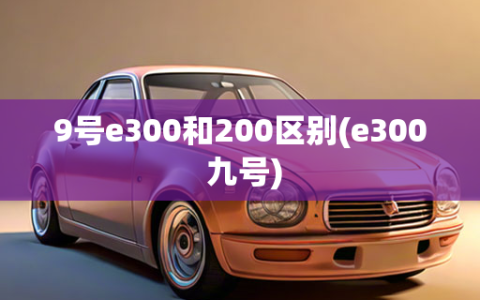 9号e300和200区别(e300 九号)