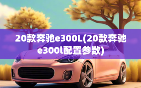 20款奔驰e300L(20款奔驰e300l配置参数)