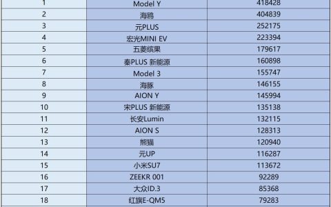 1-11月纯电车销量榜单变天了 宏光MINI EV冲进前五 海豚第八