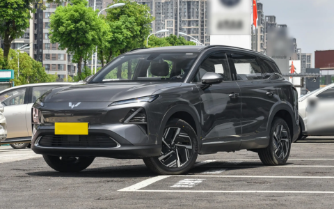 抗冻的10万级新能源SUV，零下15℃快充仍然快，续航达成率144%