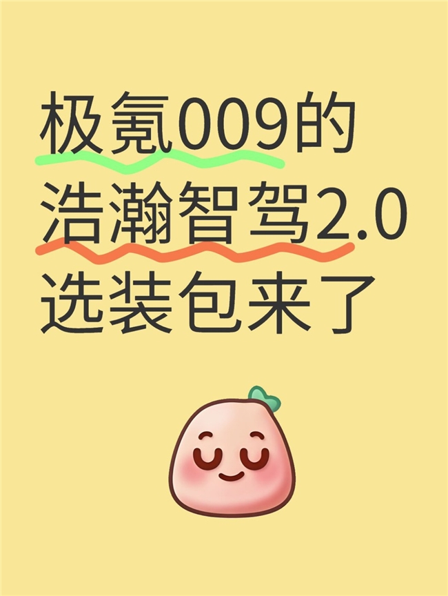 谁还没算明白极氪009选装包这笔帐