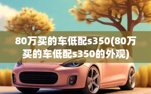 80万买的车低配s350(80万买的车低配s350的外观)