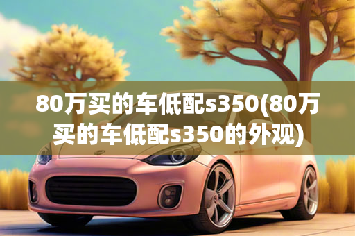 80万买的车低配s350(80万买的车低配s350的外观)