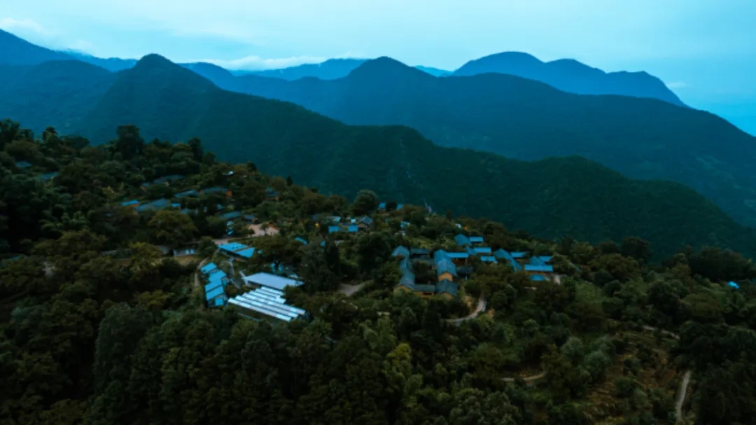 云南保山，一场探寻中国咖啡的“奇驭”之旅