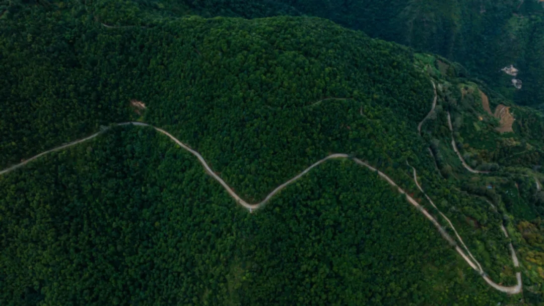 云南保山，一场探寻中国咖啡的“奇驭”之旅