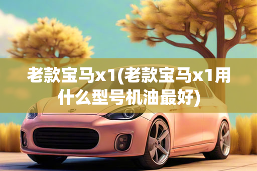 老款宝马x1(老款宝马x1用什么型号机油最好)