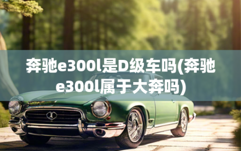 奔驰e300l是D级车吗(奔驰e300l属于大奔吗)